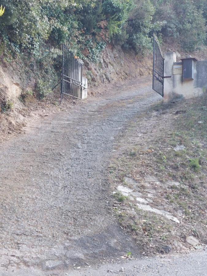 Ribellu Villa Bastiya Dış mekan fotoğraf